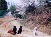 060407 4-200.jpg